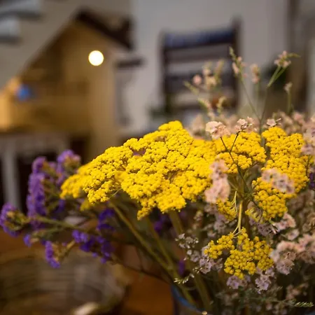 Casetta La Crus - Romantic House Apartament *