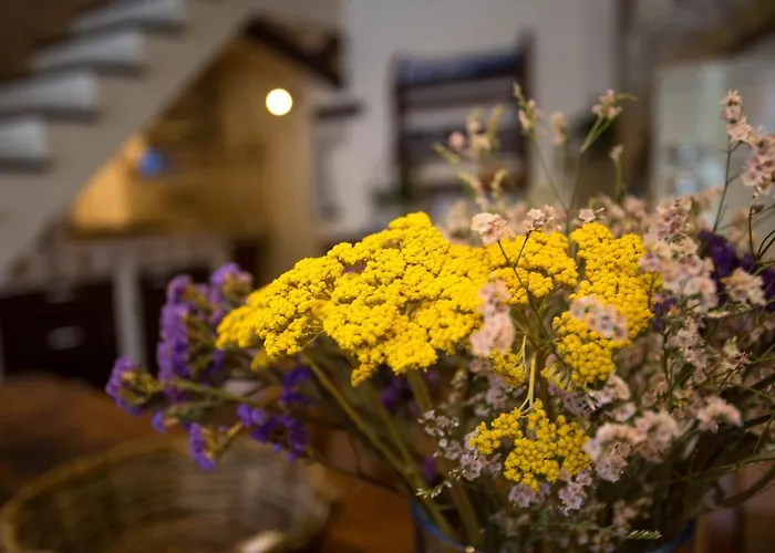 Casetta La Crus - Romantic House Apartamento *